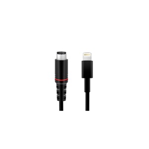 IRIG CABLE Lightning-Mini-Din IK Multimedia